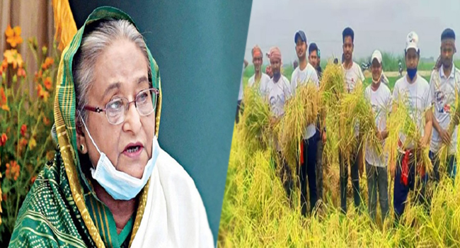 কৃষকদের ধান কেটে দিতে দলের নেতাকর্মীদের নির্দেশ